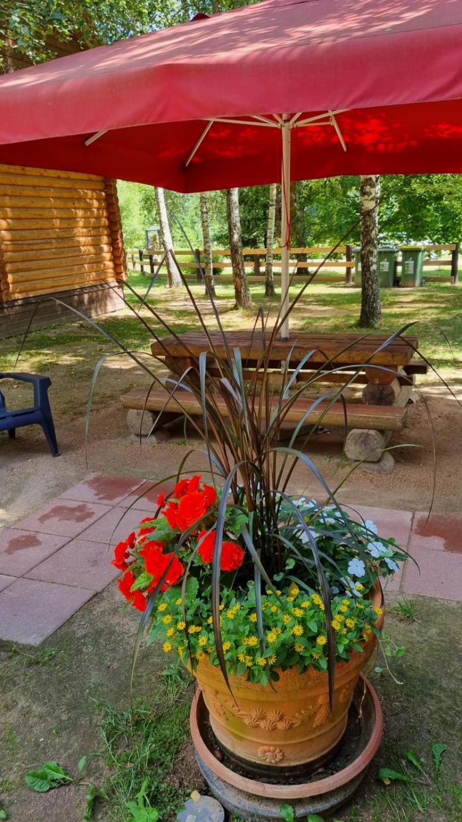 Campsite Oskalns *